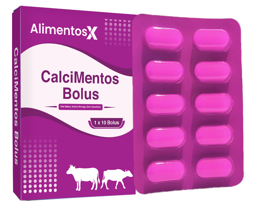 CalciMentos Bolus
