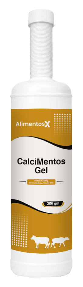 CalciMentos Gel