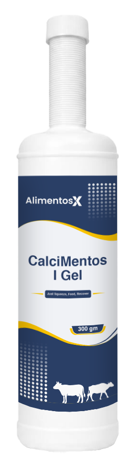CalciMentos I Gel