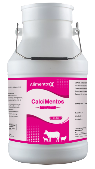 CalciMentos