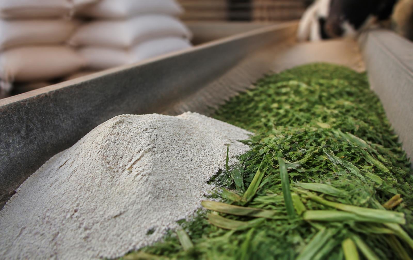 Why Area-Specific Mineral Mixture Outperforms Generic Supplements